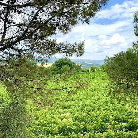 Podere Barbi