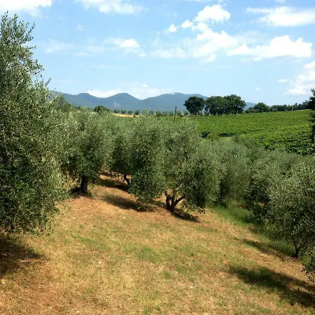 Podere Barbi * Baschi