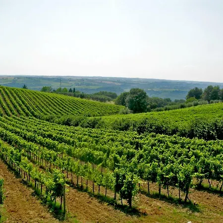 Podere Barbi Gasthuis *