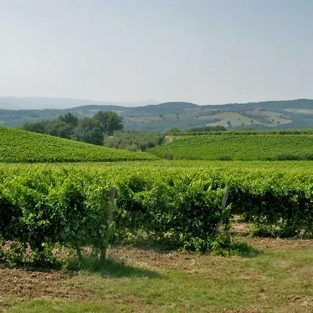 Gasthuis Podere Barbi