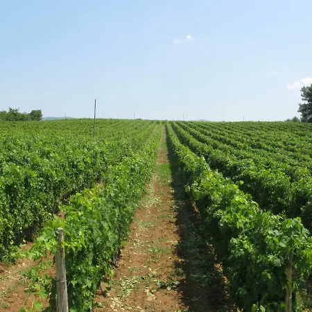 Podere Barbi Гостевой дом Baschi